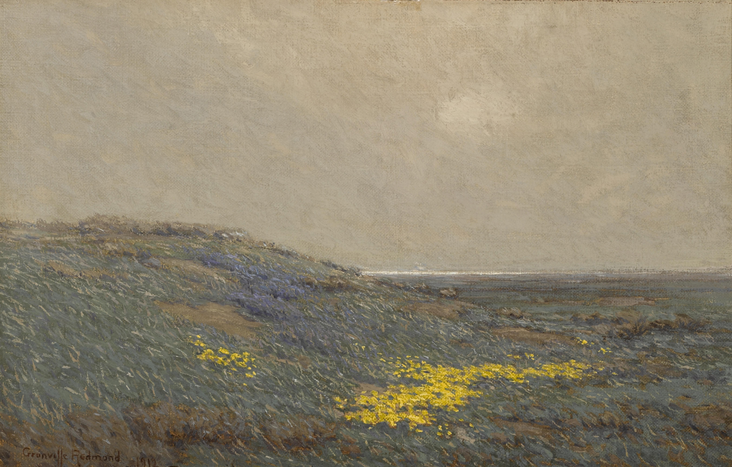 Coastal Wildflowers, 1912