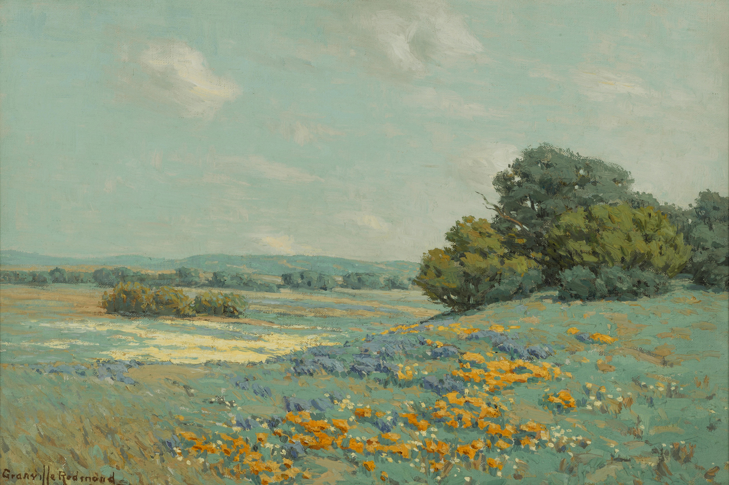 California Poppy Field, 1915