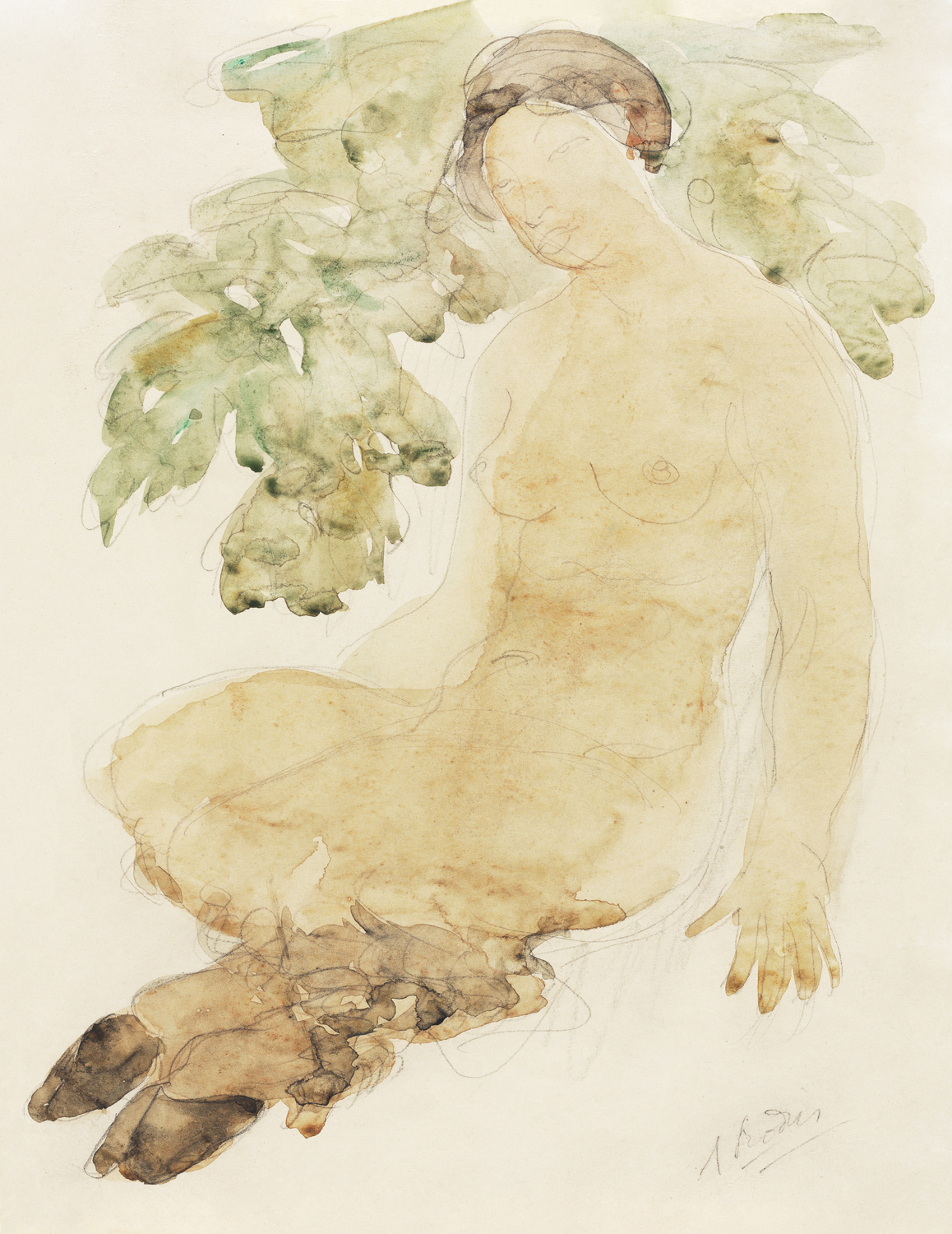 Faunesse, 1905