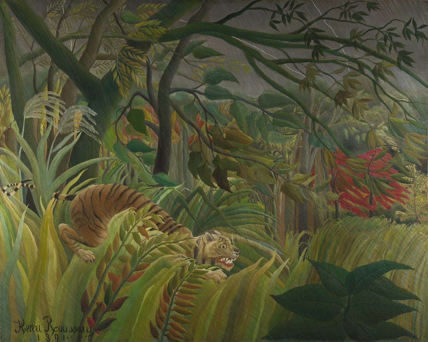 Tiger in a Tropical Storm (Surprised!), 1891