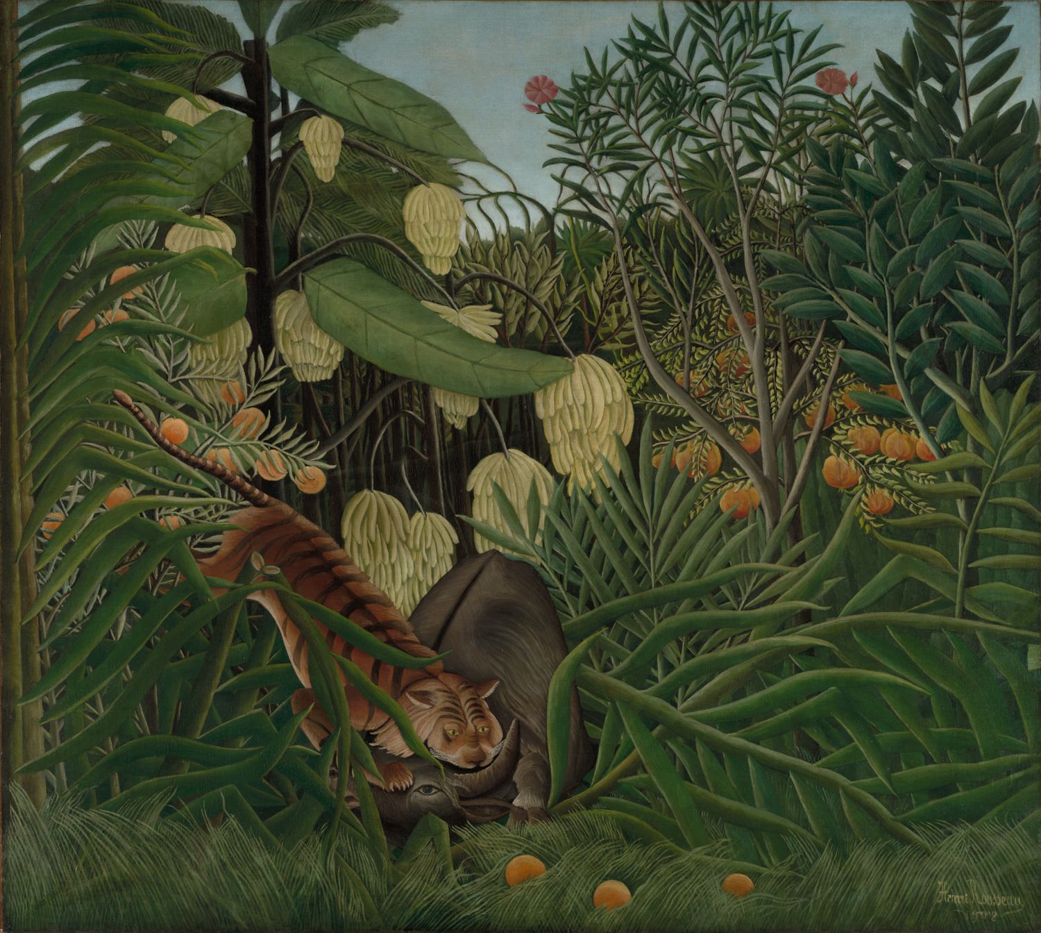 Fight between a Tiger and Water Buffalo, c. 1908