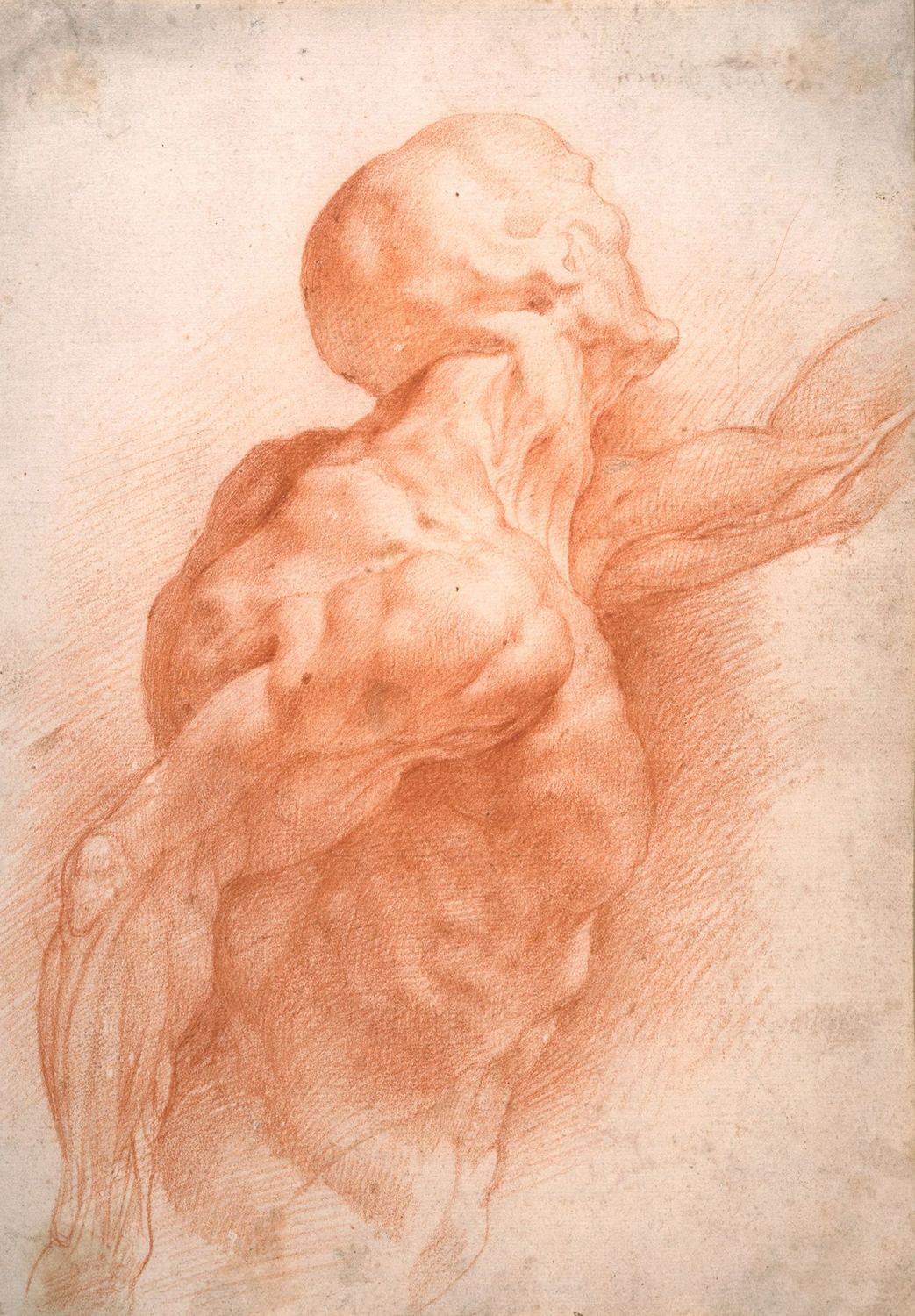 Anatomical Study, c. 1607