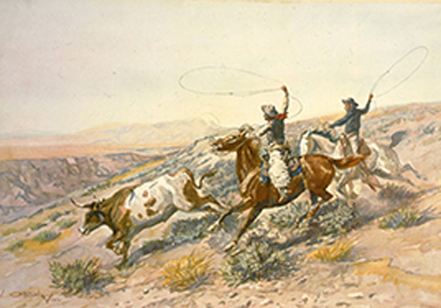 Buckaroos, 1902