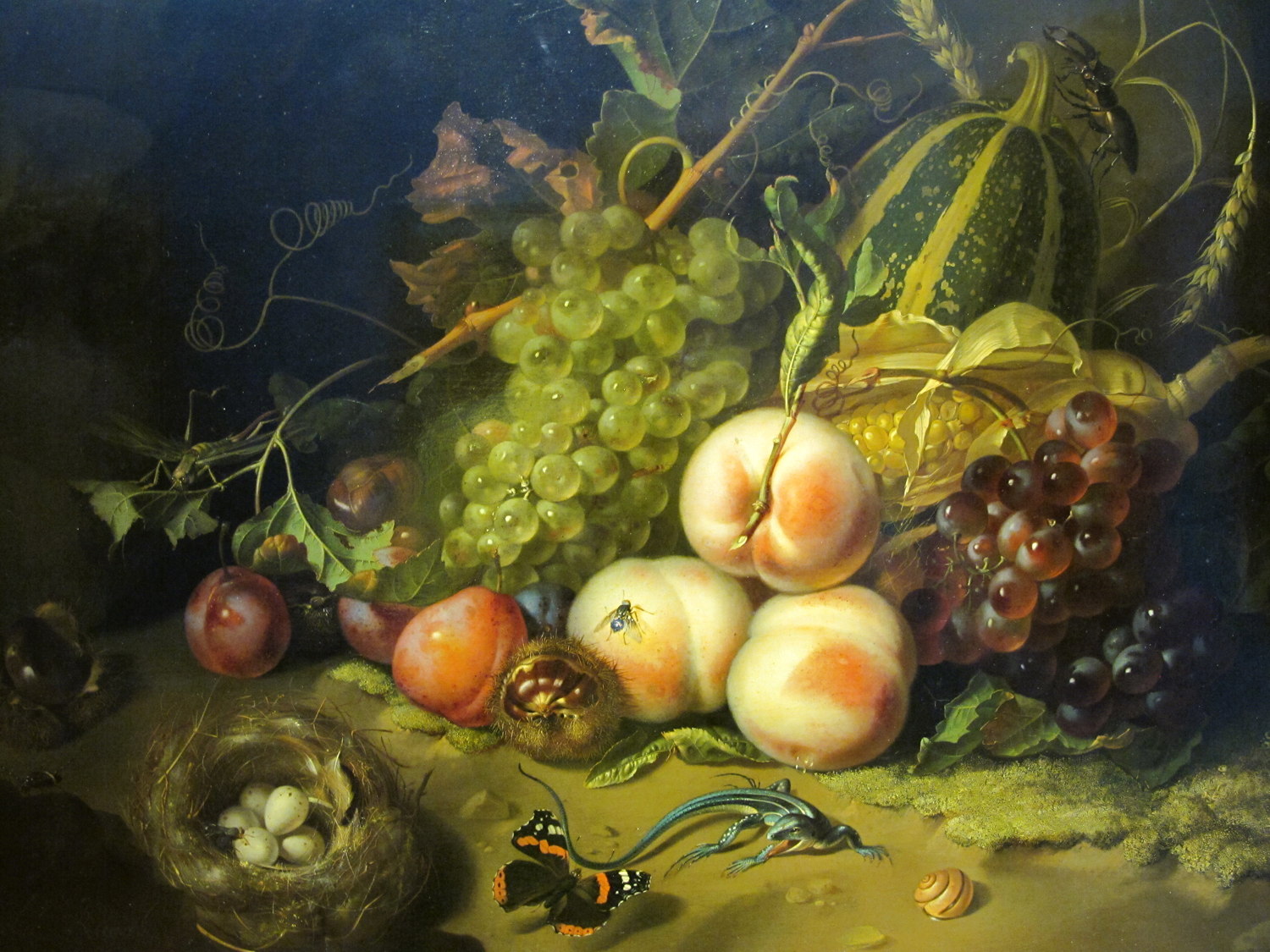 Still Life with Flowers & Insects, 1711