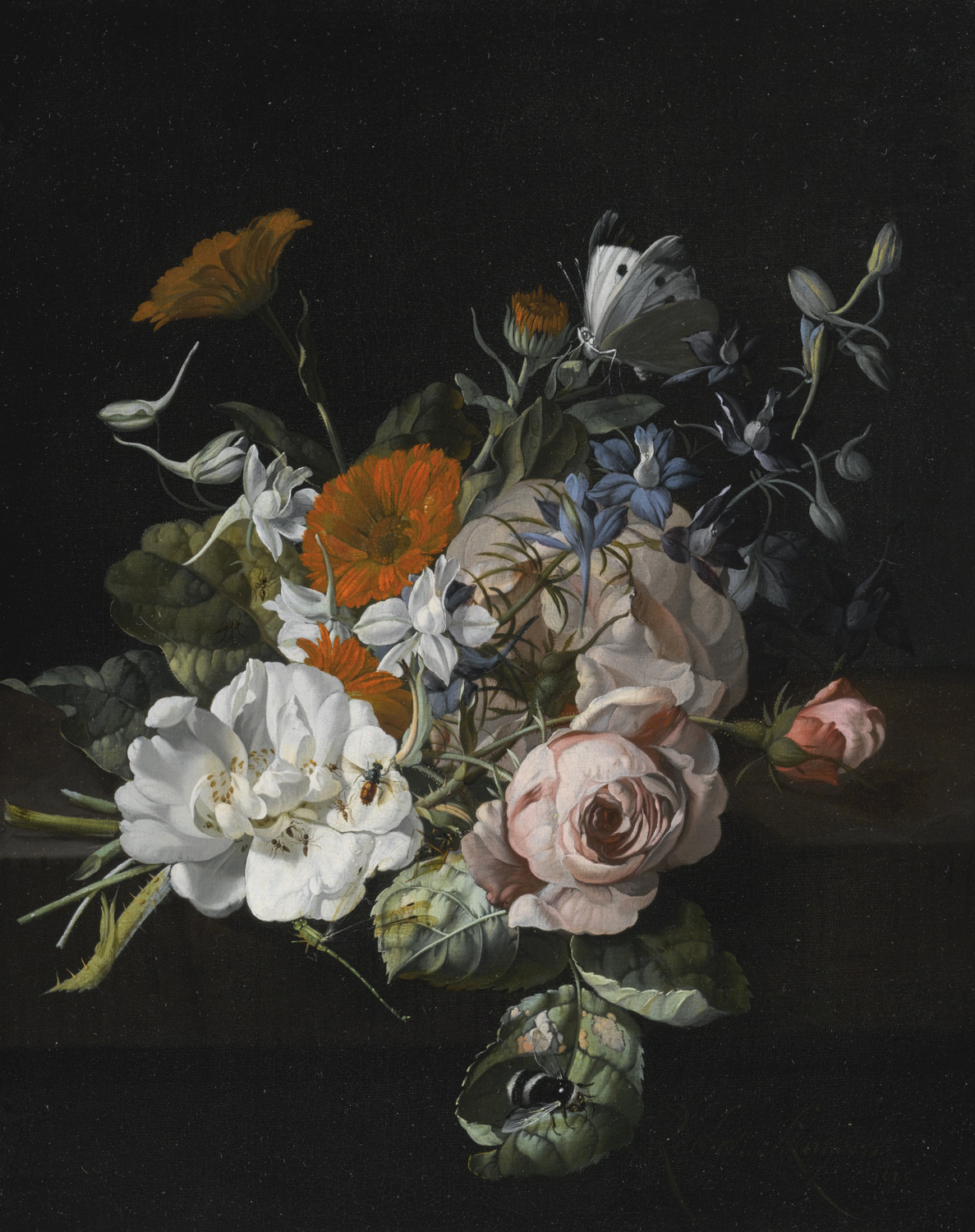 Posy of Roses, Marigolds, and Larkspur, with Insects and Bumblebee, 1695