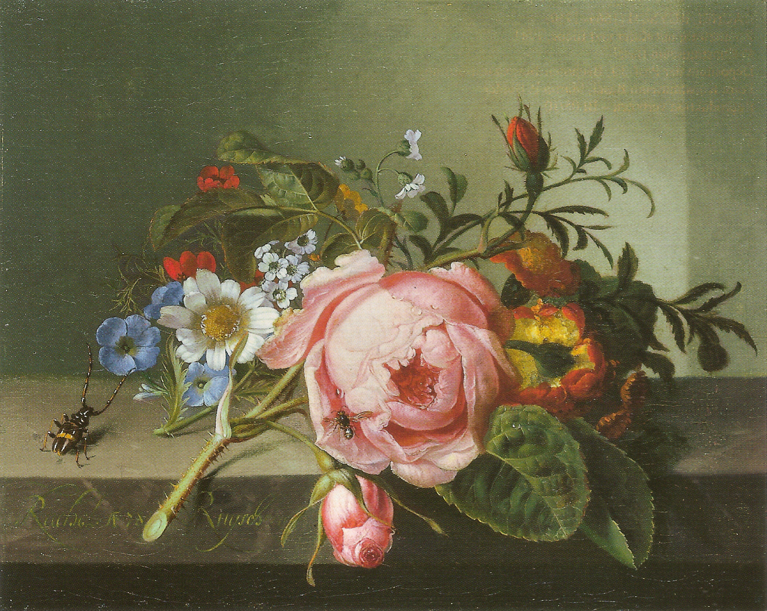 Rose Branch with Beetle & Bee, 1741