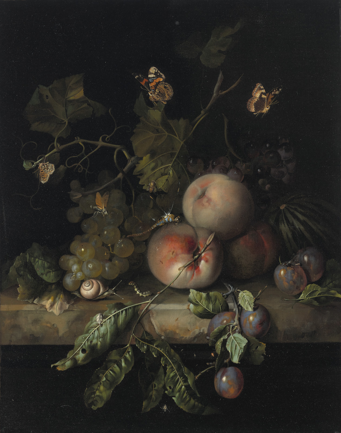 Peaches, Grapes and Plums with a Dragonfly, Snail, Caterpillar, Butterfly and other i=Insects on a Stone Ledge, 1683