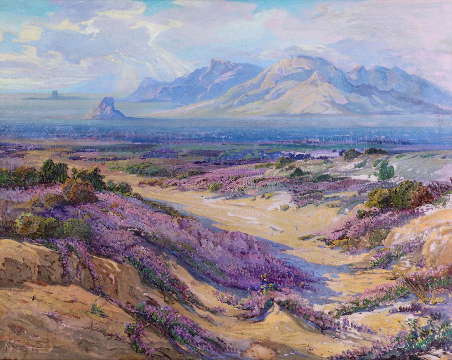 Verbena Time in the Desert, 20th century