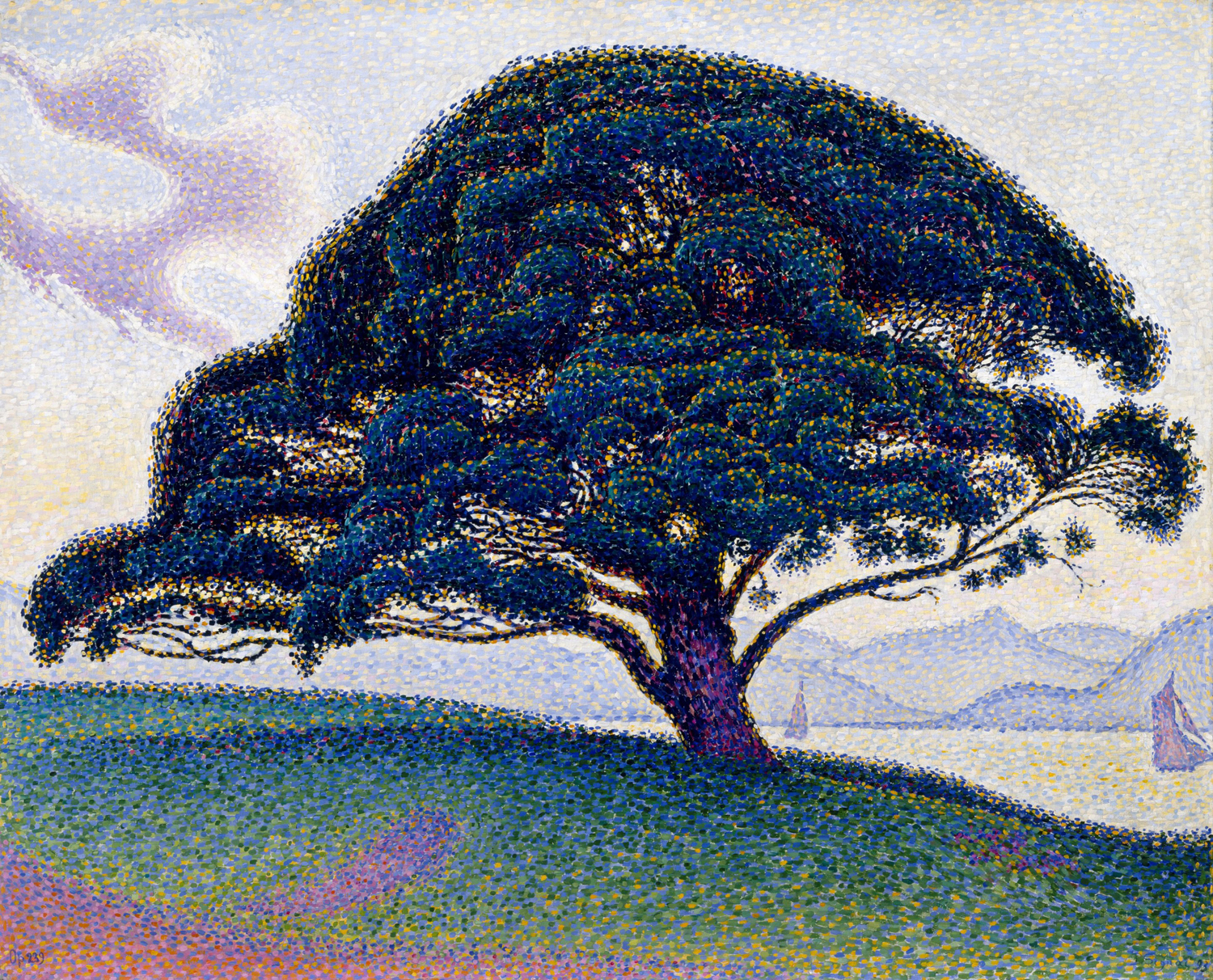 The Bonaventure Pine, 1893