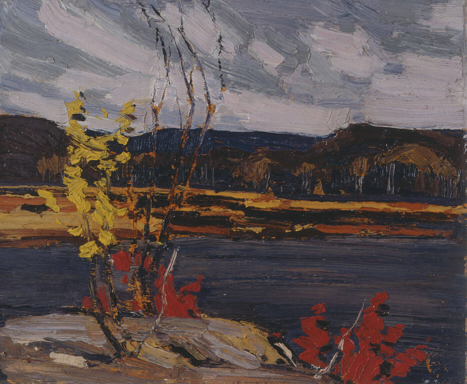 Autumn, Algonquin Park, 1916