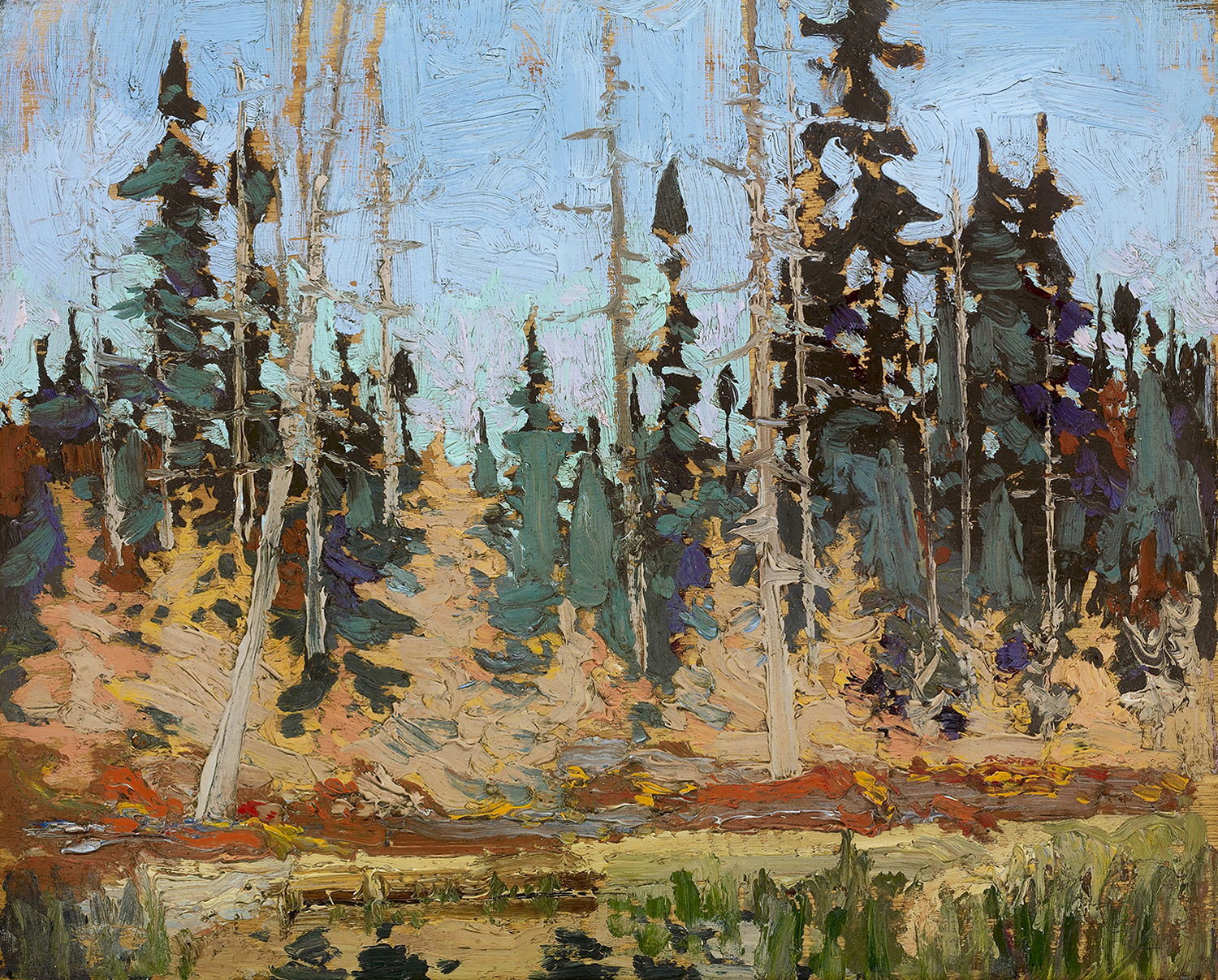 Spruce and Tamarack, 1916