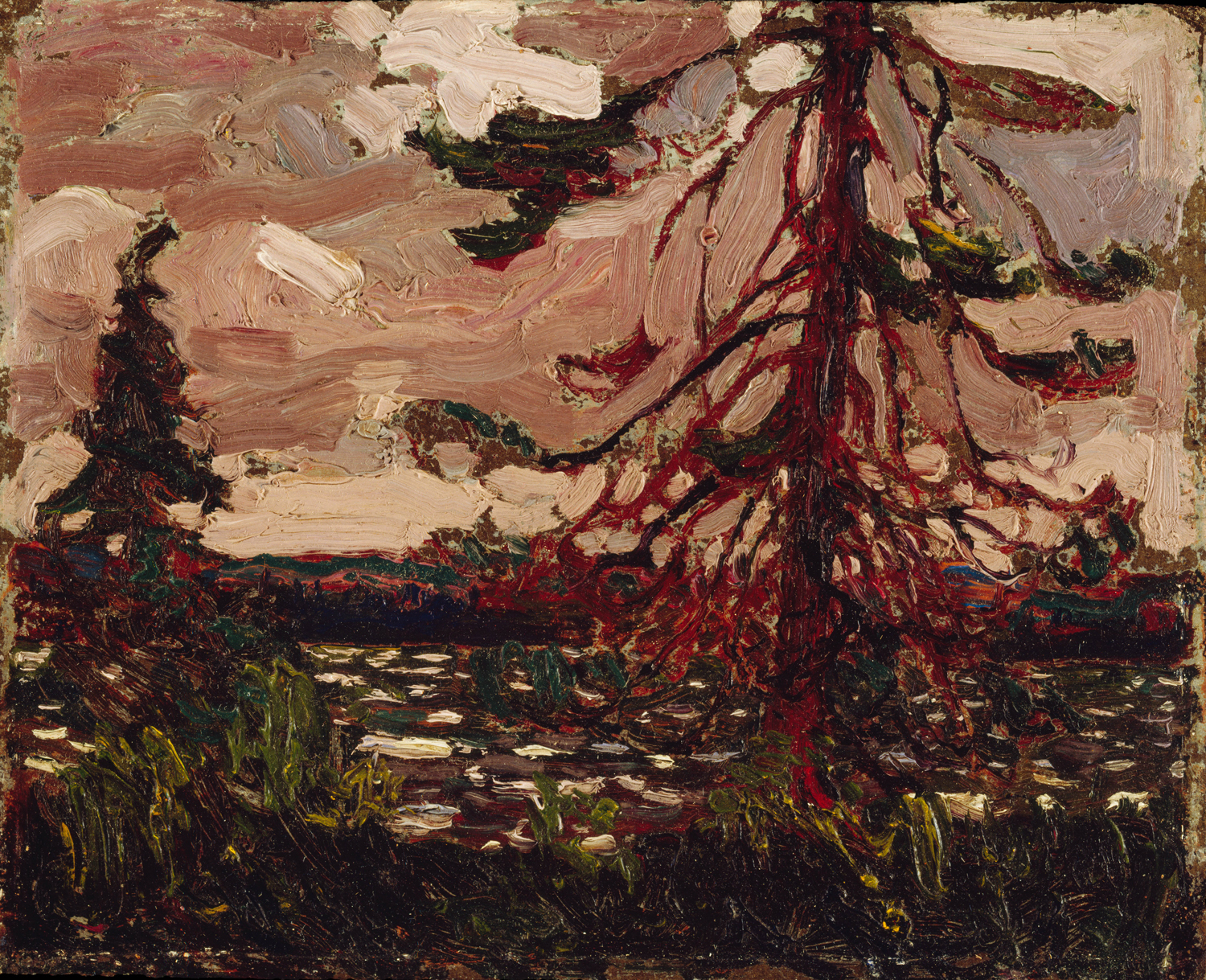 Ragged Pine, 1916
