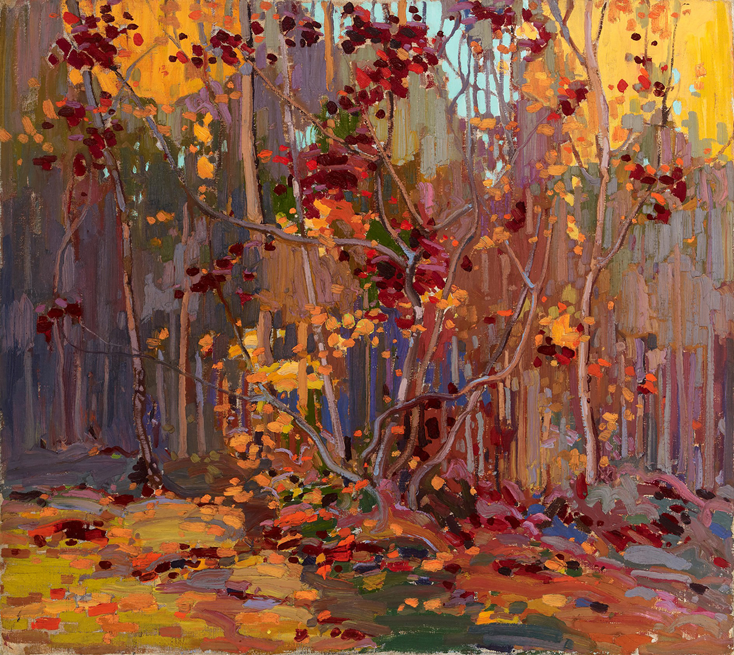 Maple Saplings, October, 1916-17