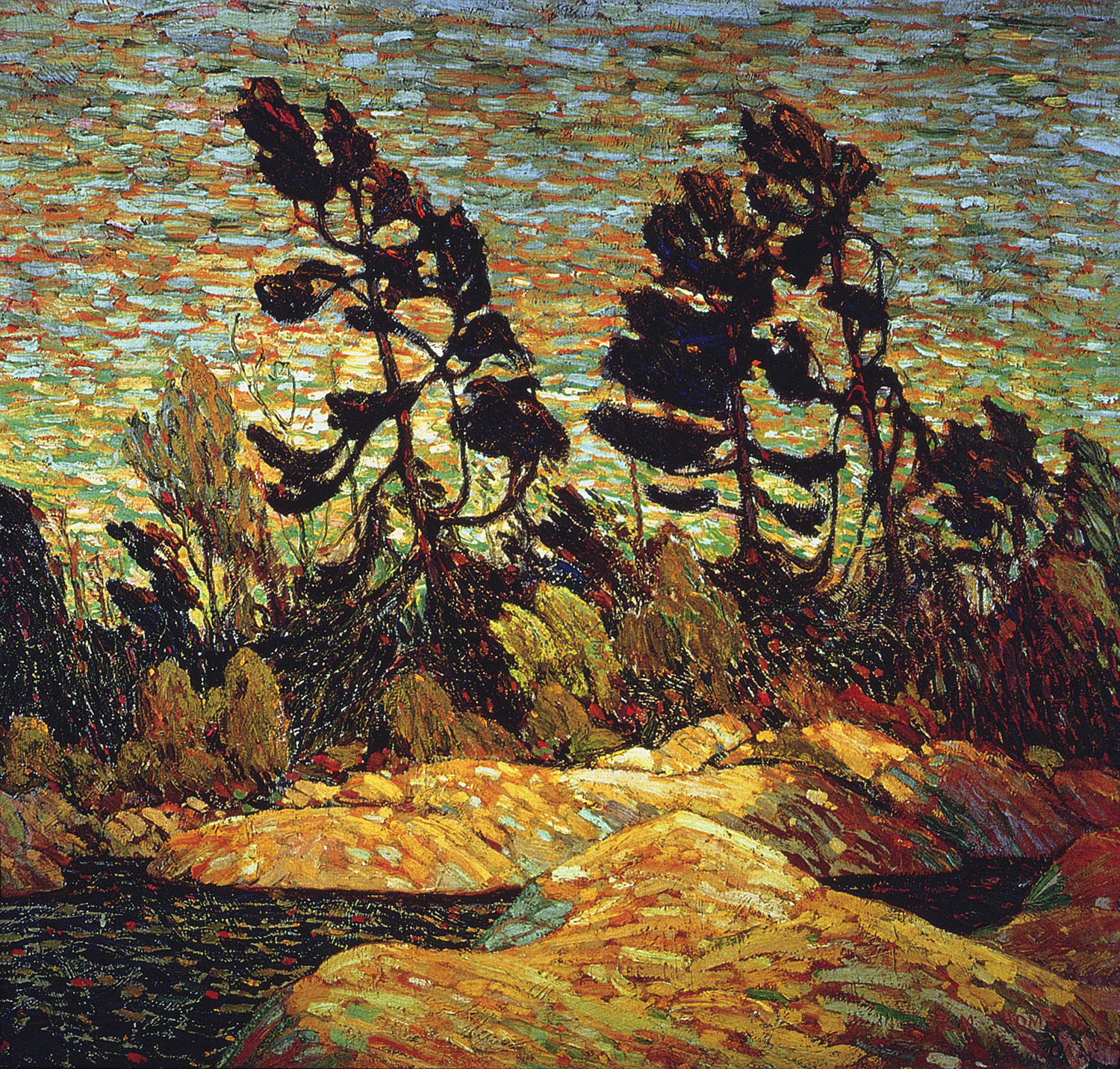 Summer Shore, Georgian Bay