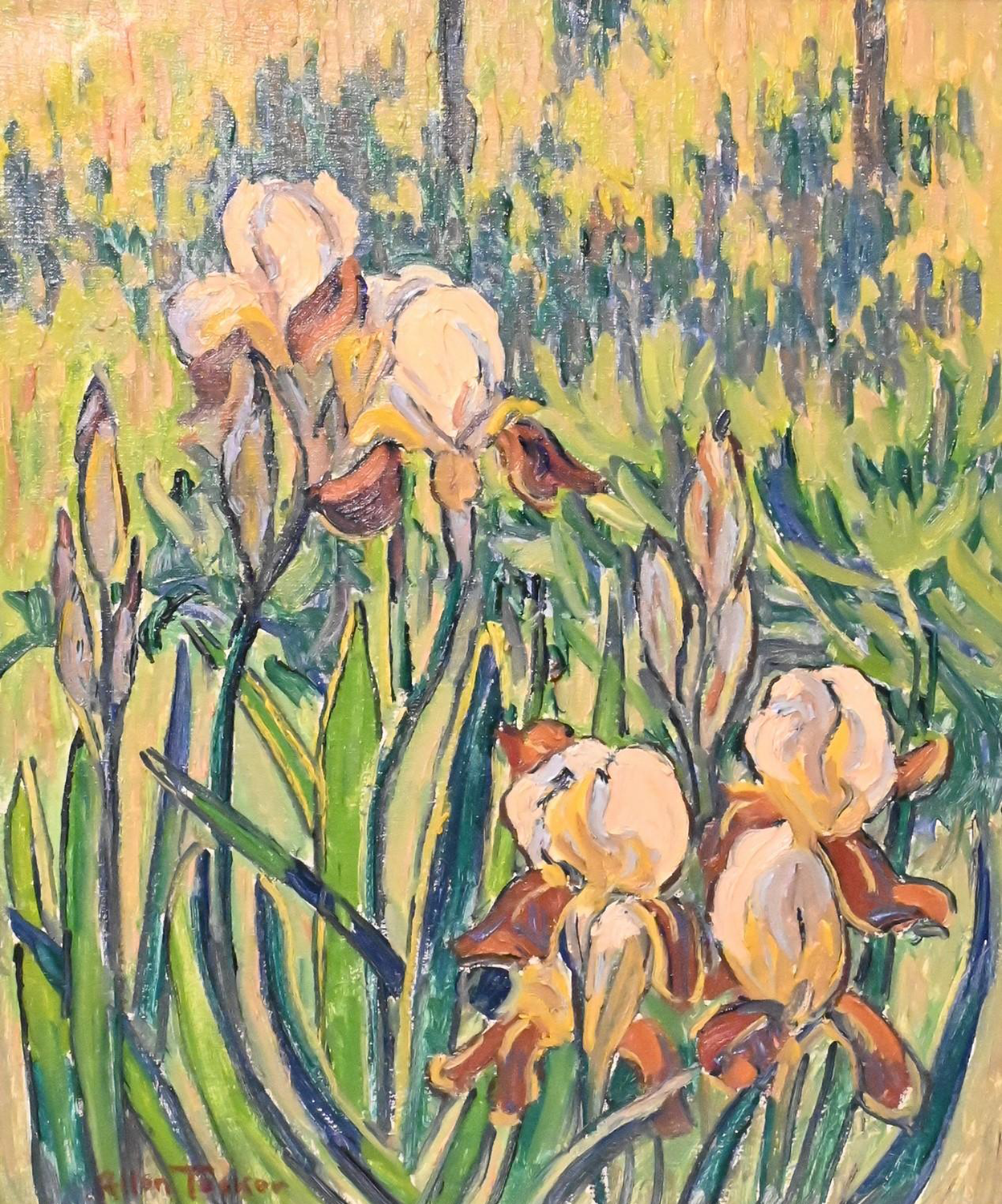 Iris, c. 1917-24