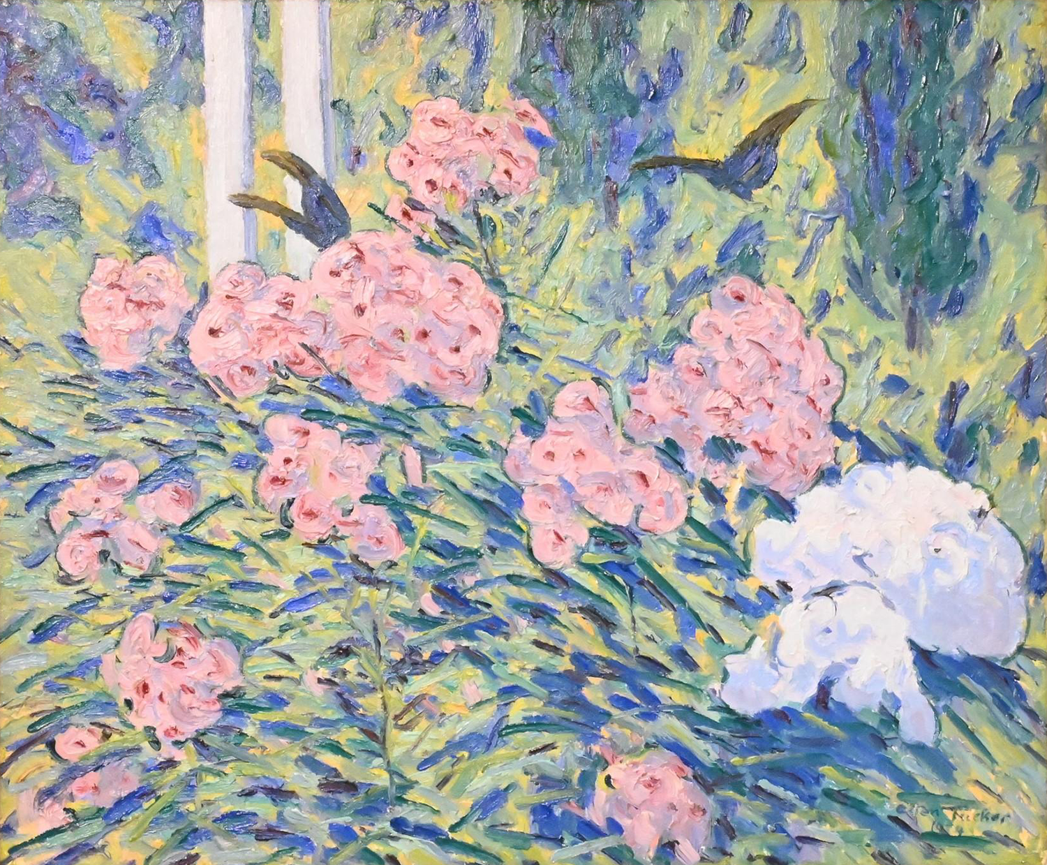 Phlox, 1924