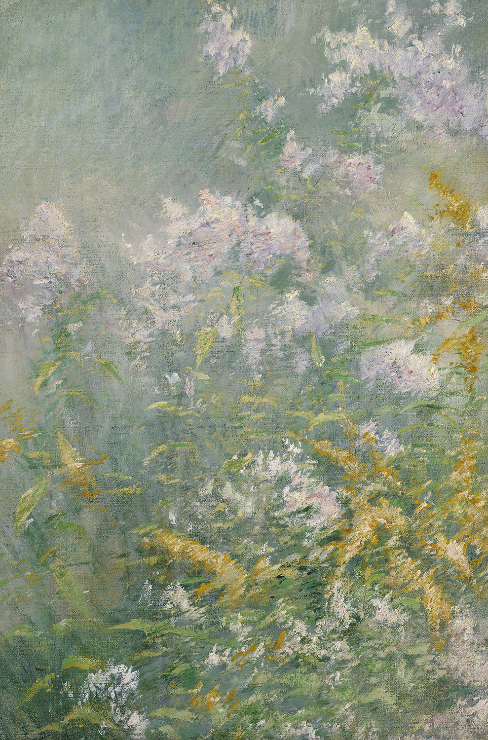Meadow Flowers (Golden Rod and Wild Aster), c. 1892
