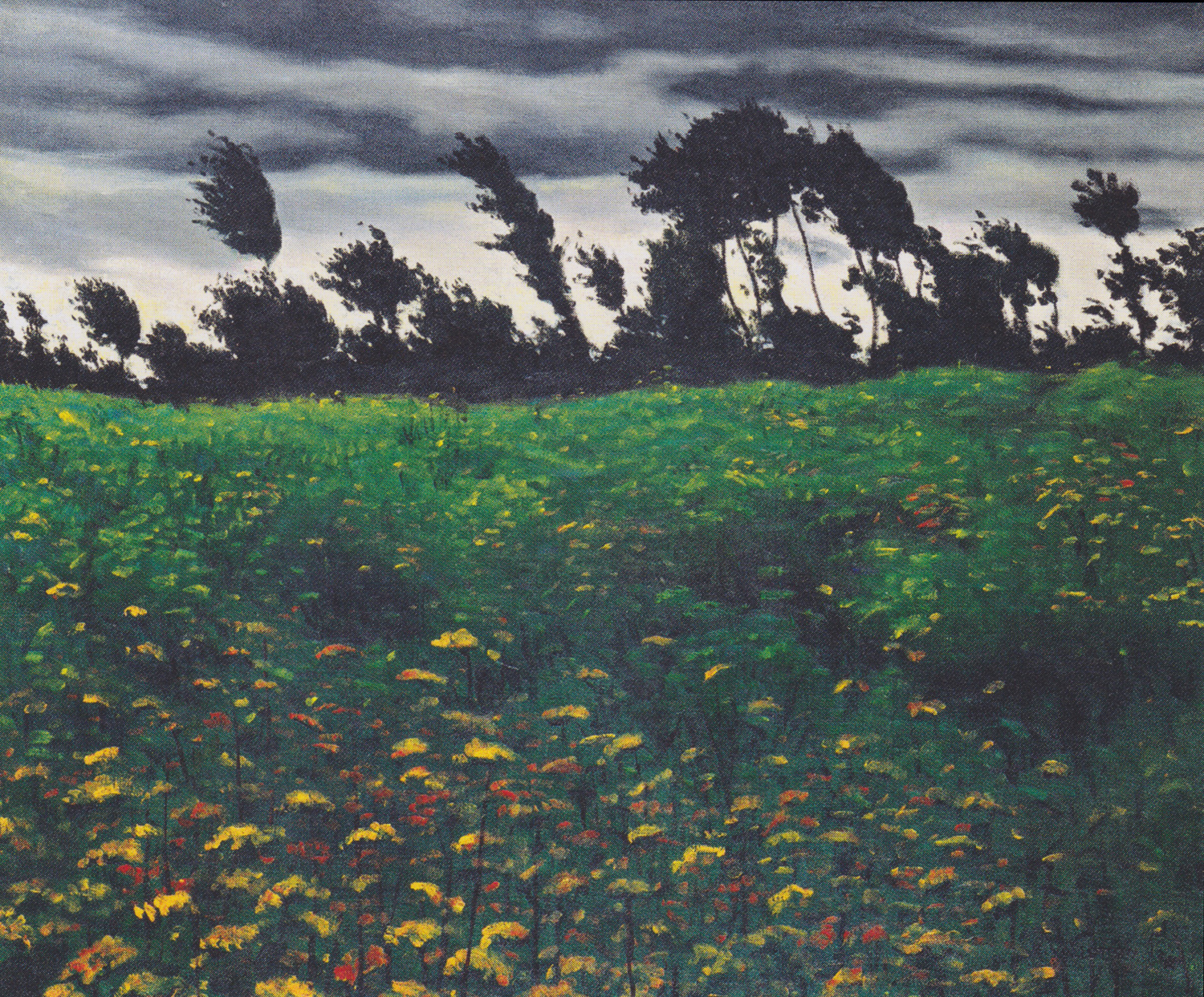 Field of Flowers, 1912