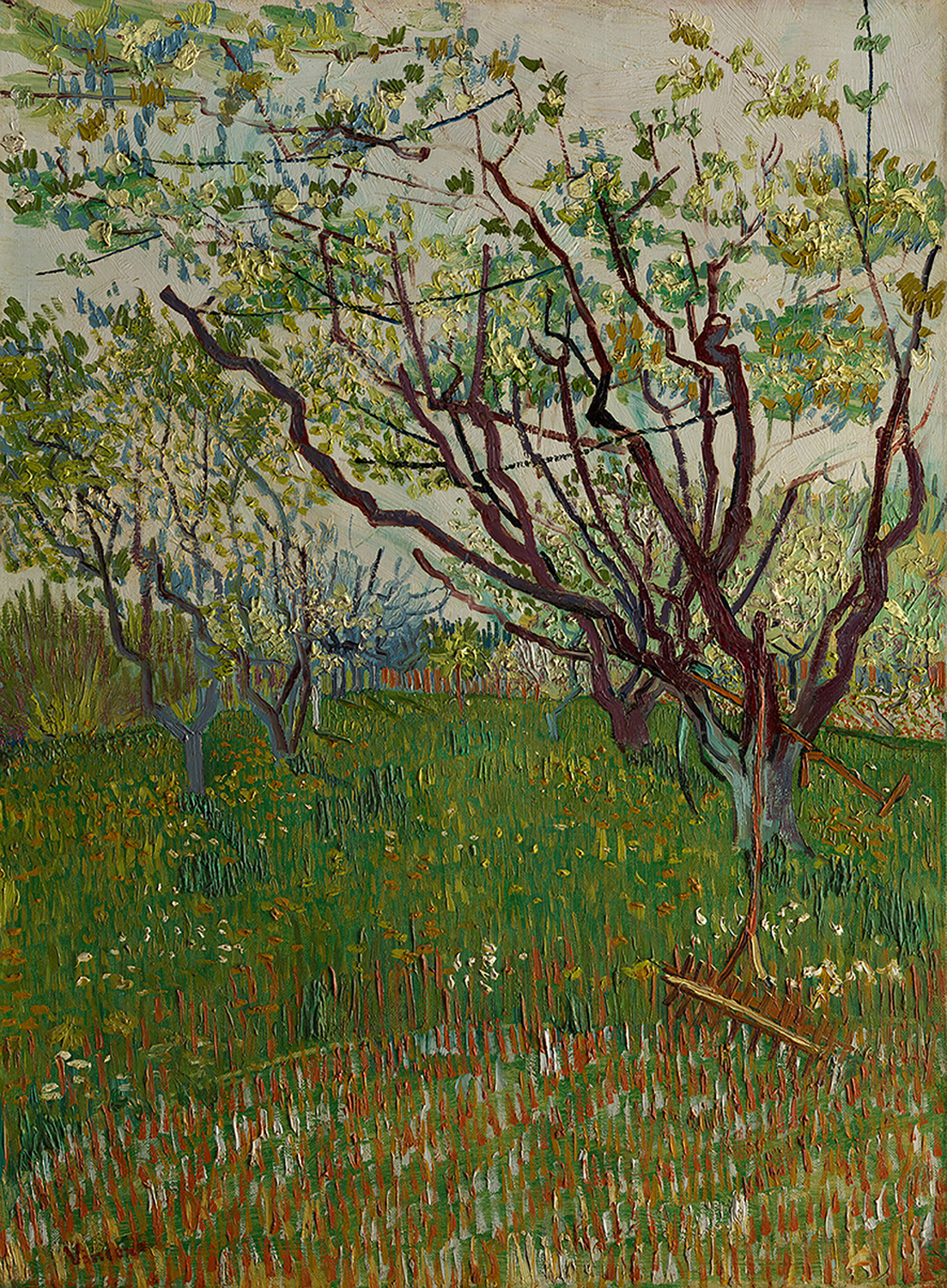 The Flowering Orchard, 1888