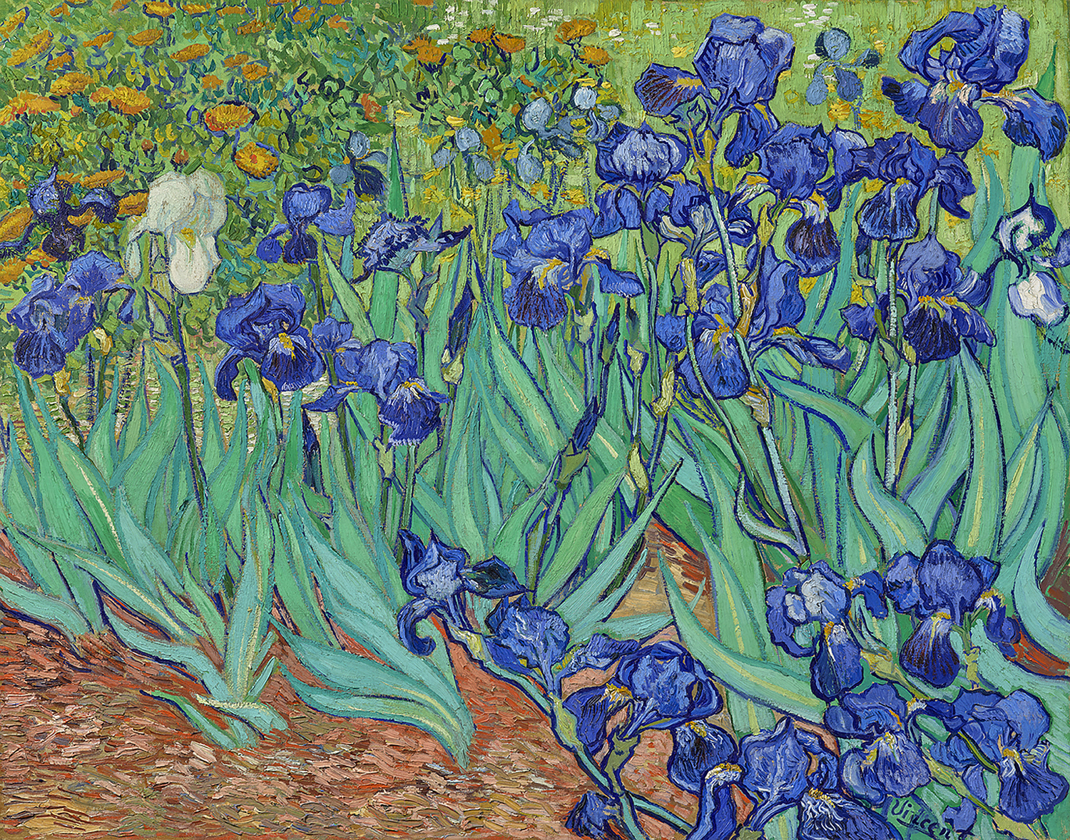 Irises, 1889