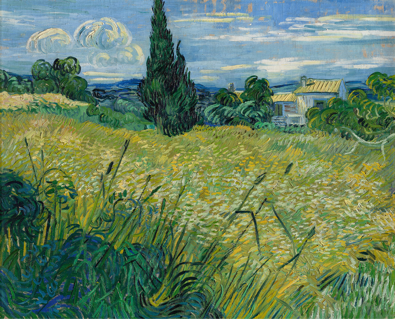 Green Wheat Field with Cypress, 1889