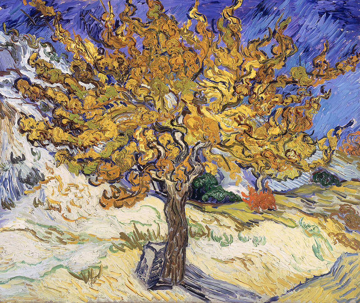 The Mulberry Tree, 1889