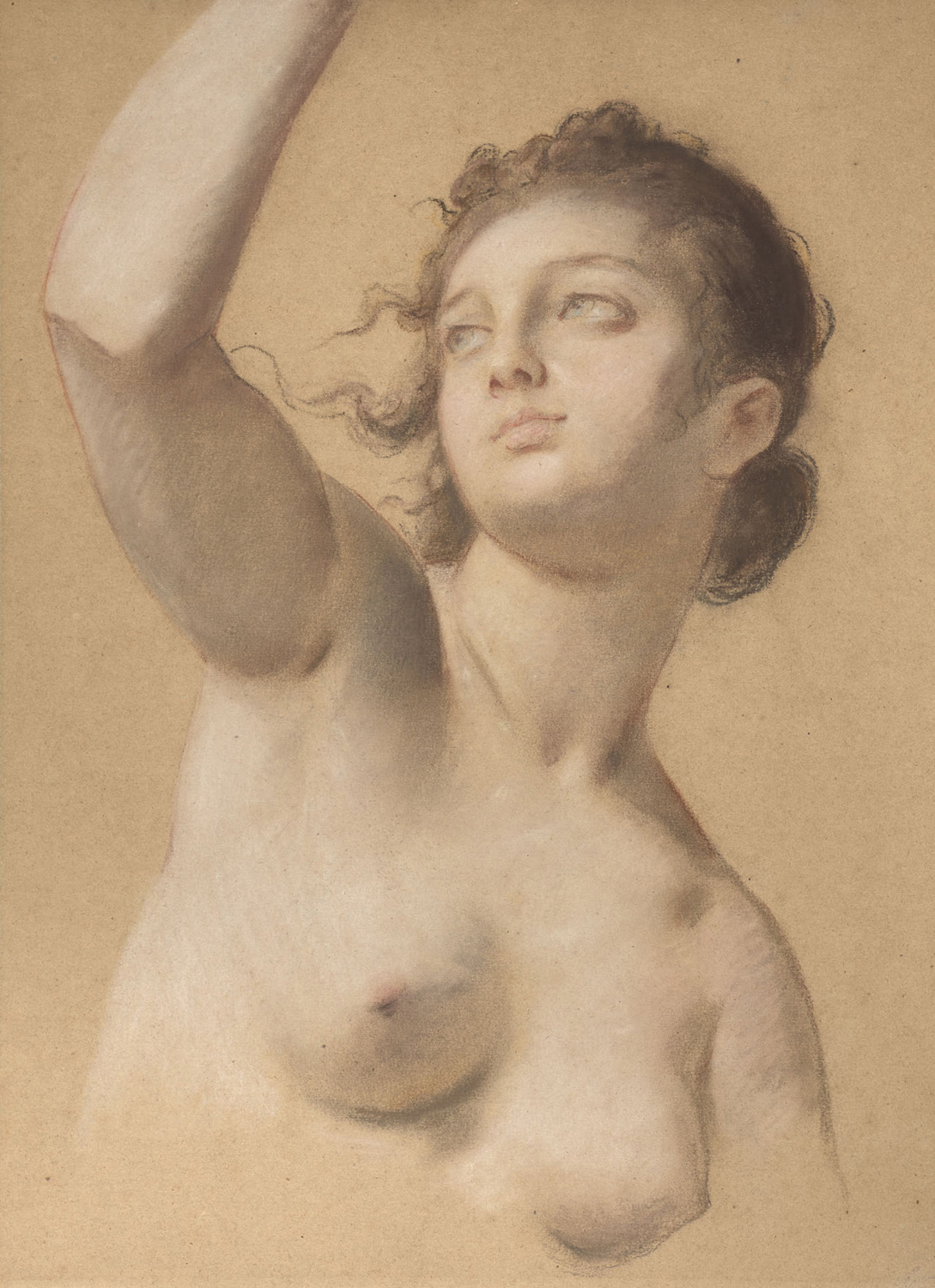 Study of a Nude, Half-Length, 18th century