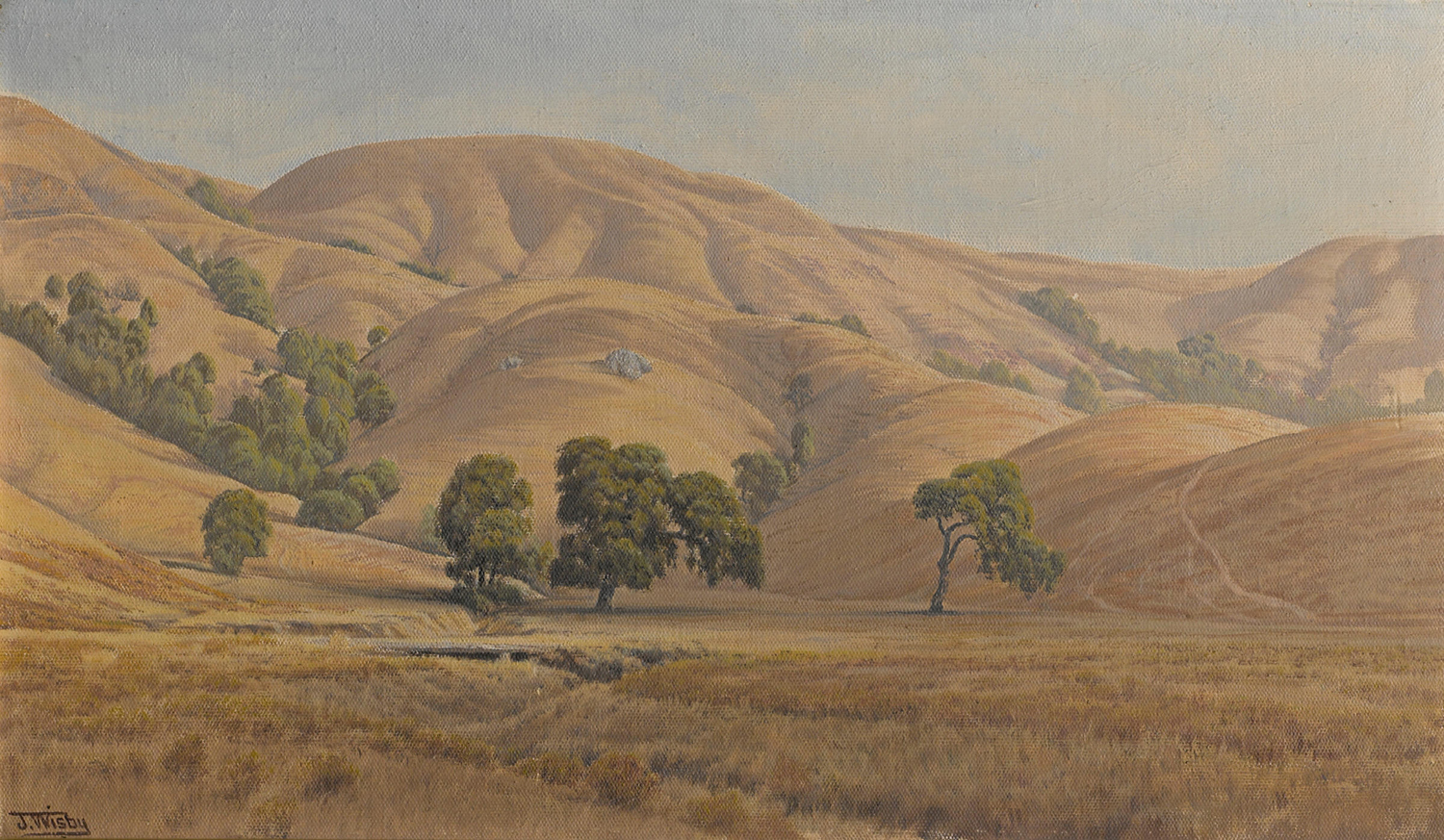 Rilling California Hills in Summer, 20th century