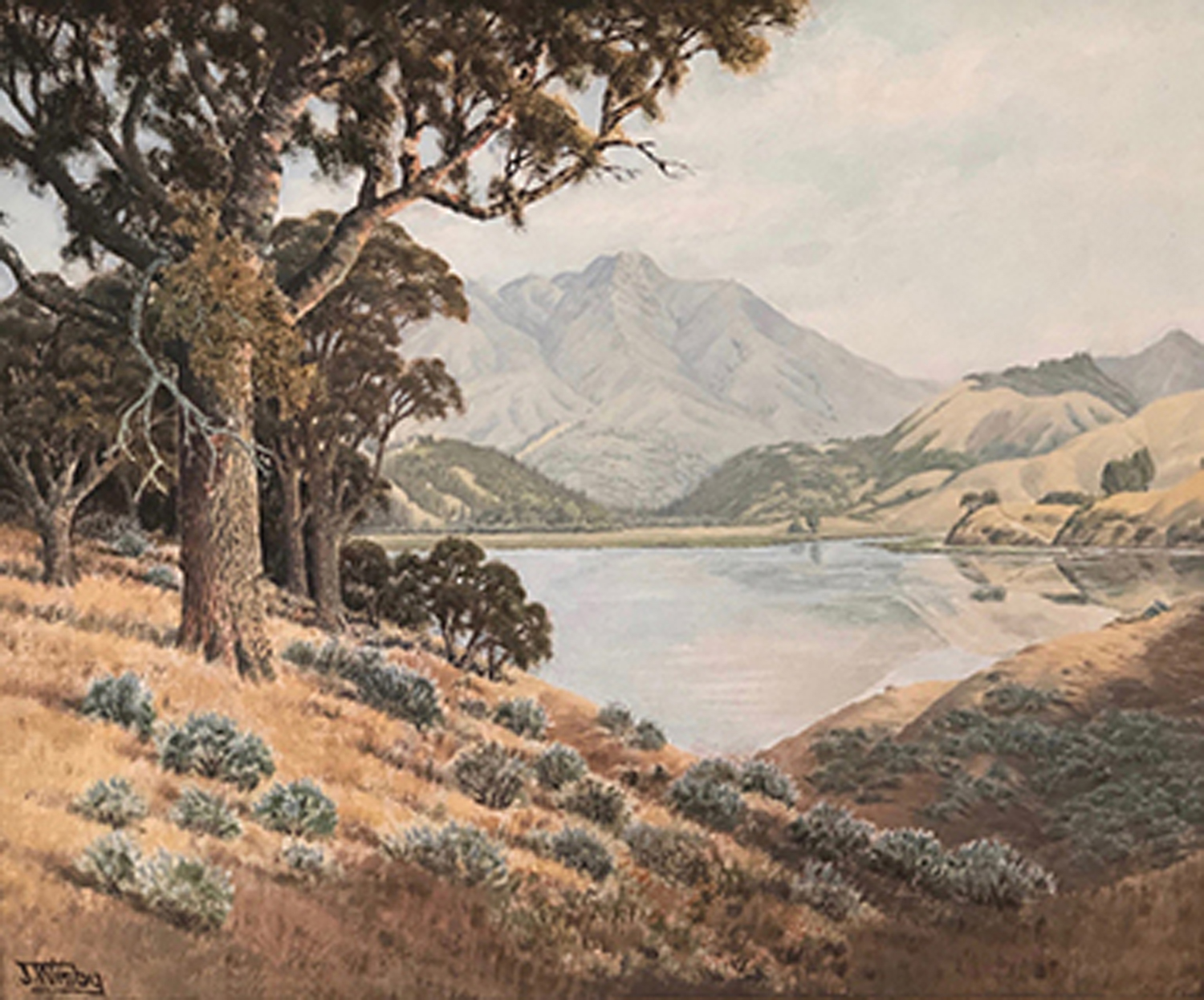 Marin Hills, 20th century