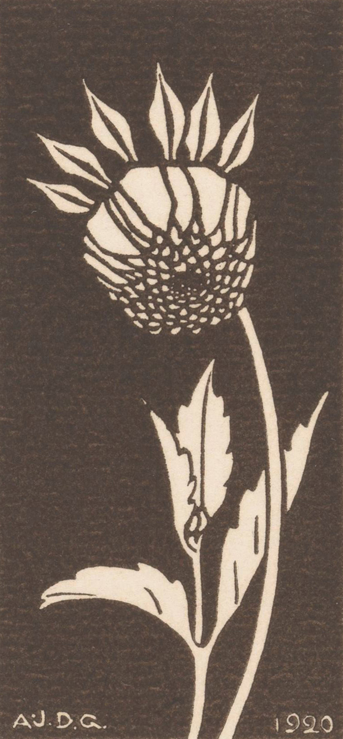 Dahlia, 1920