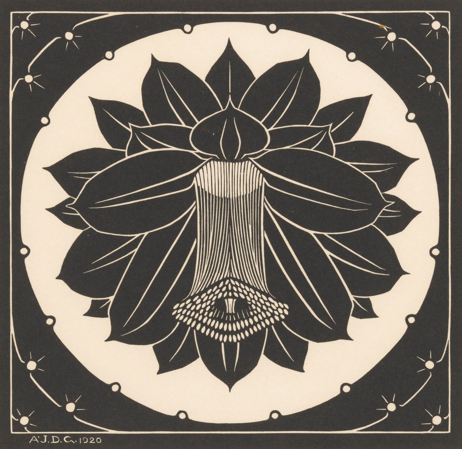 Flower, 1920