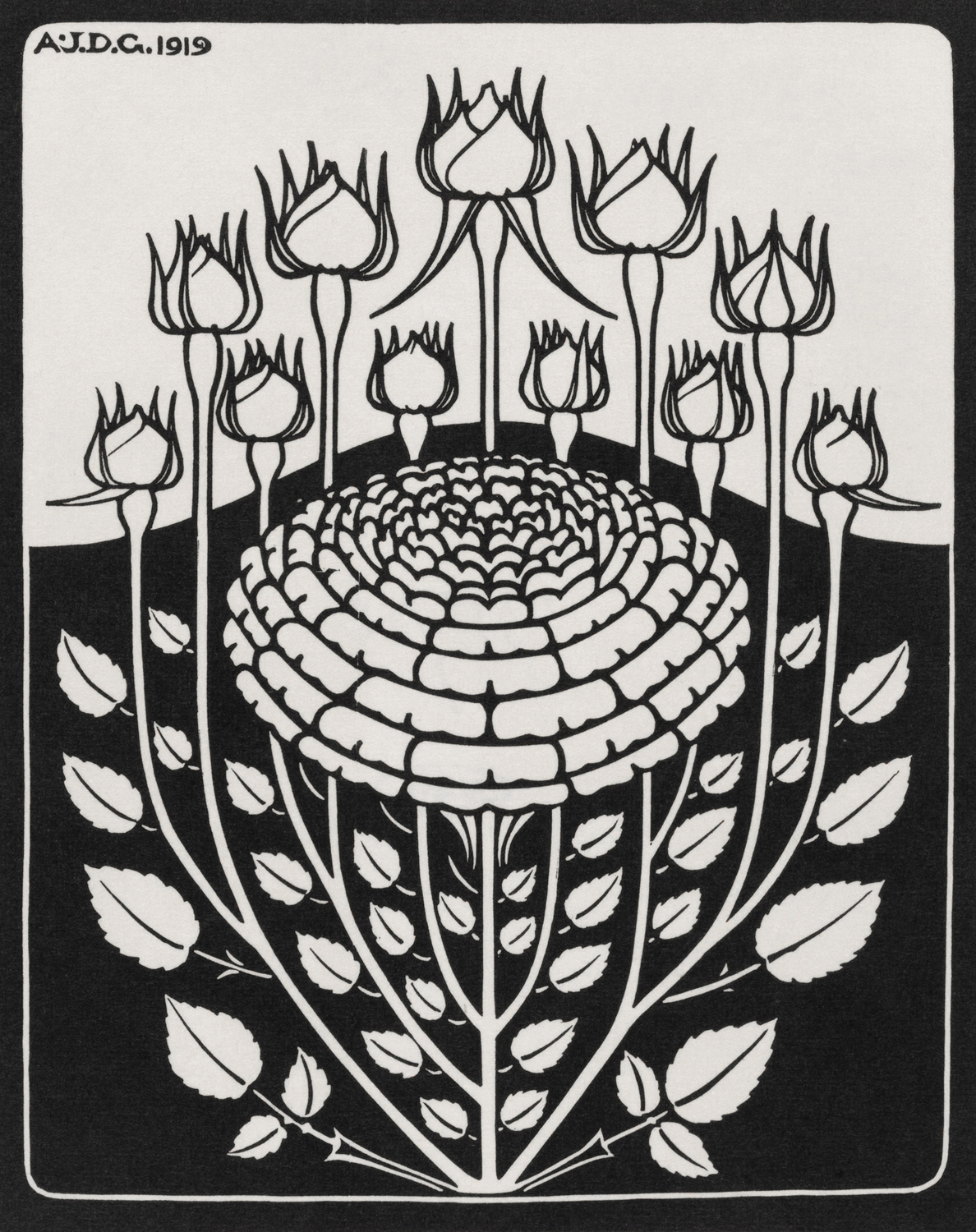 Rose Bush, 1919