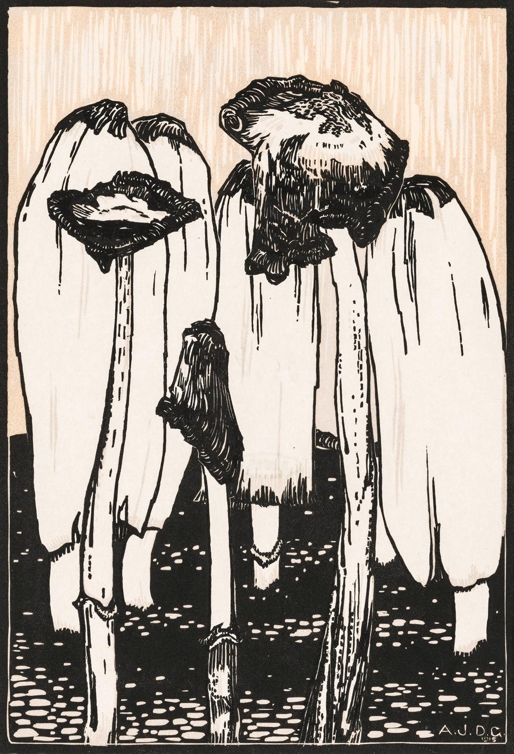 Ink Mushrooms, 1915
