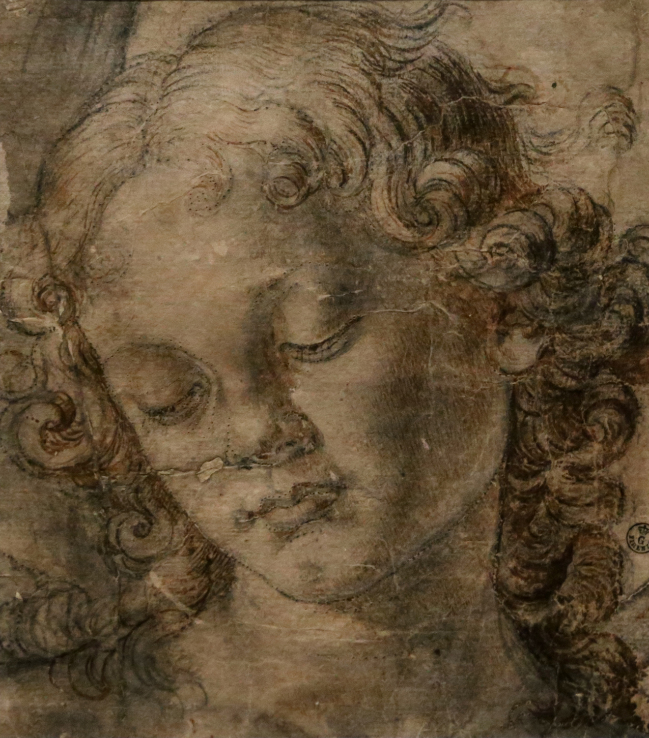 Head of an Angel, c. 1472-76