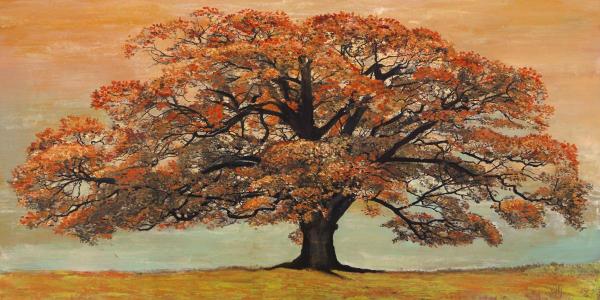 Oak