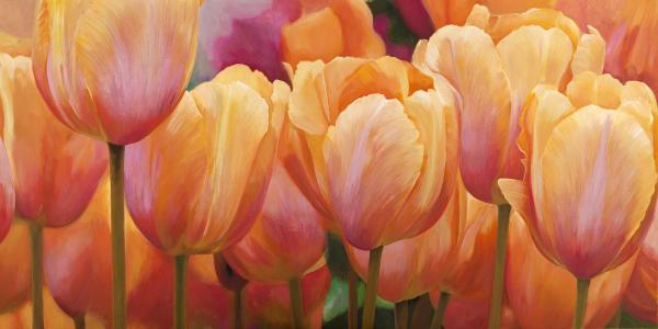 Summer Tulips