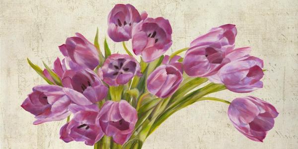 Tulipes