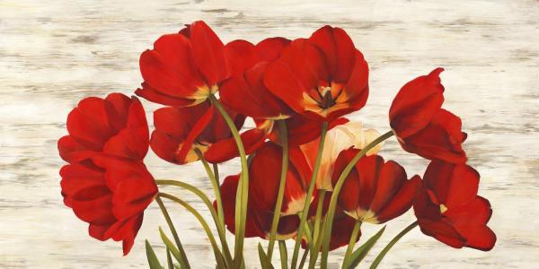 French Tulips