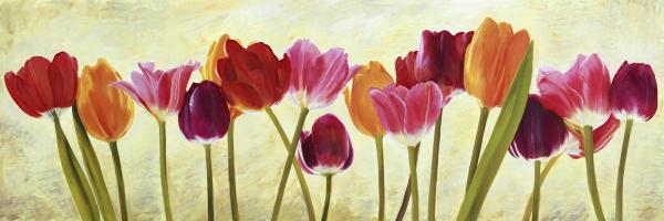 Tulip Parade