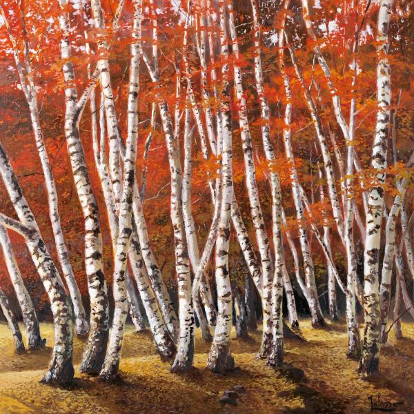 Bosco di Betulle I