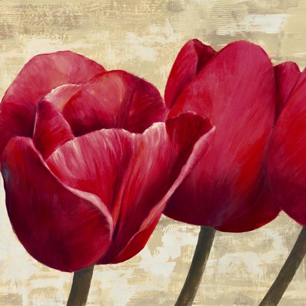 Red Tulips II