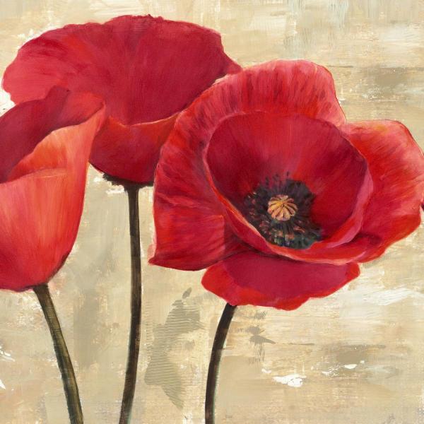 Red Poppies II