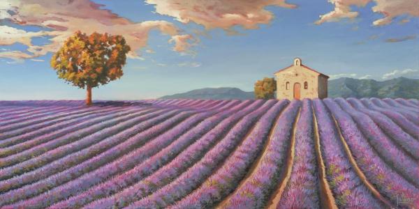 Campi di Lavanda