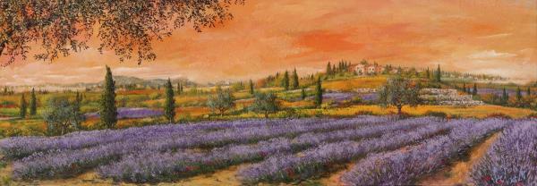 Filari di Lavanda