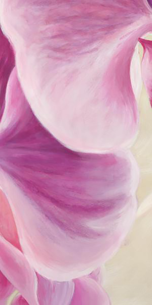 Purple Orchids II