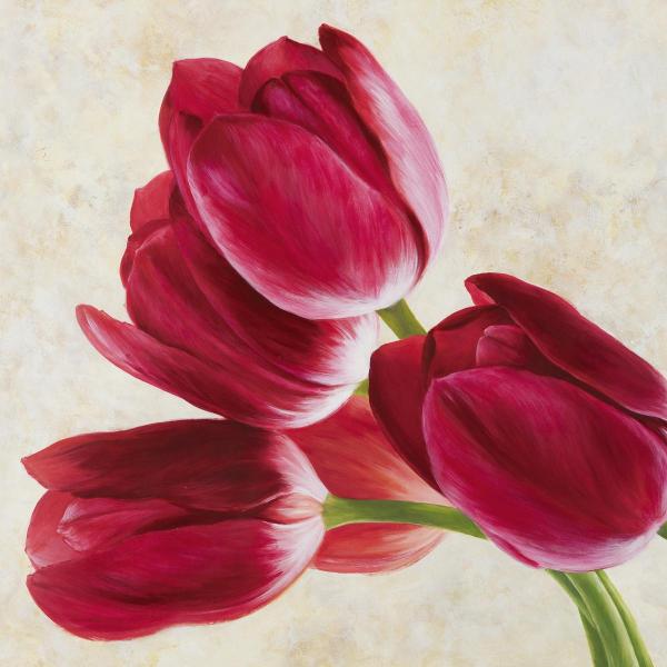 Tulip Concerto II