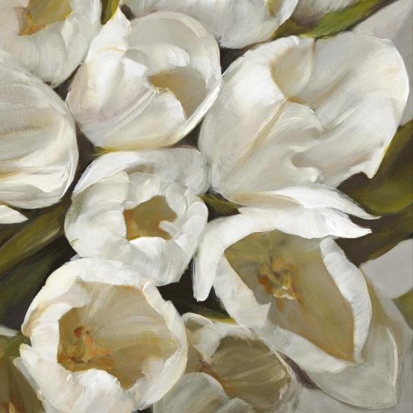 Bianco II