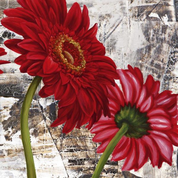 Red Gerberas III