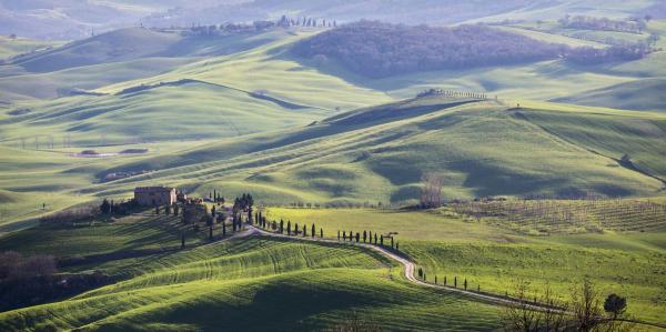 A Road in Tuscany