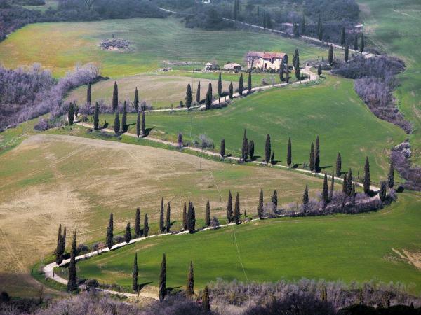 Road Near Montepulciano, Tuscany